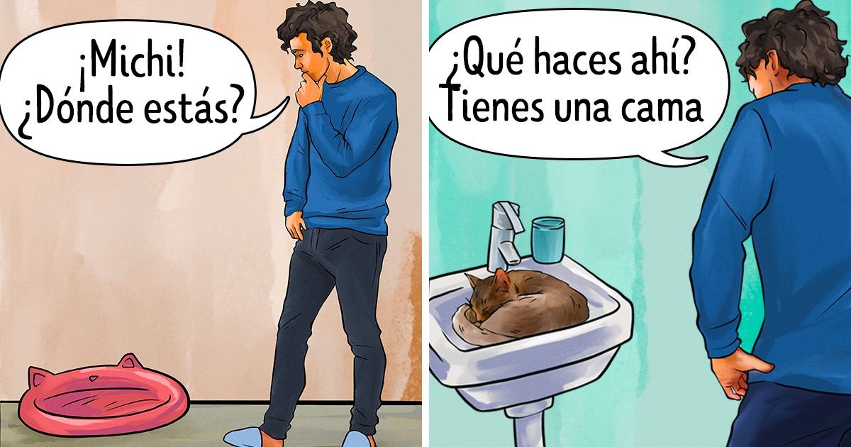 10+ Situaciones graciosas que ocurren cuando adoptas a una mascota 10+ Situaciones graciosas que ocurren cuando adoptas a una mascota
