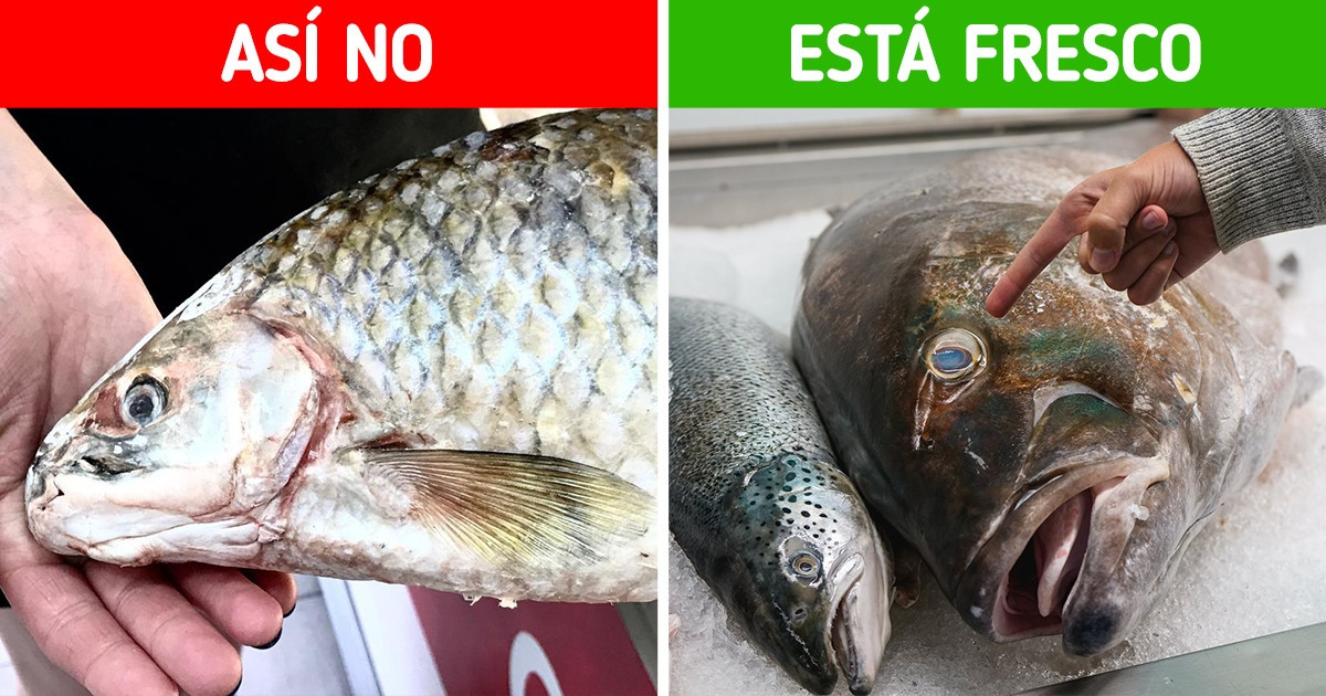 9 Formas sencillas de eliminar el olor a pescado de casa sin esfuerzo (más un bono) 9 Formas sencillas de eliminar el olor a pescado de casa sin esfuerzo (más un bono)
