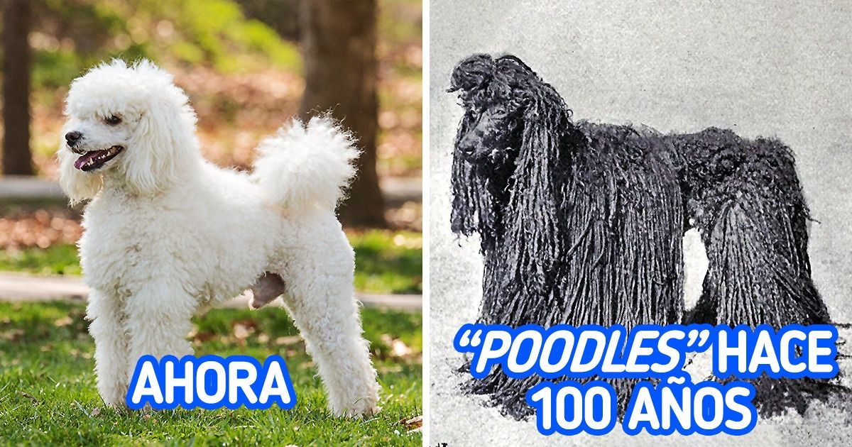 15 Ejemplos que demuestran lo rápido que cambian las cosas con el paso del tiempo