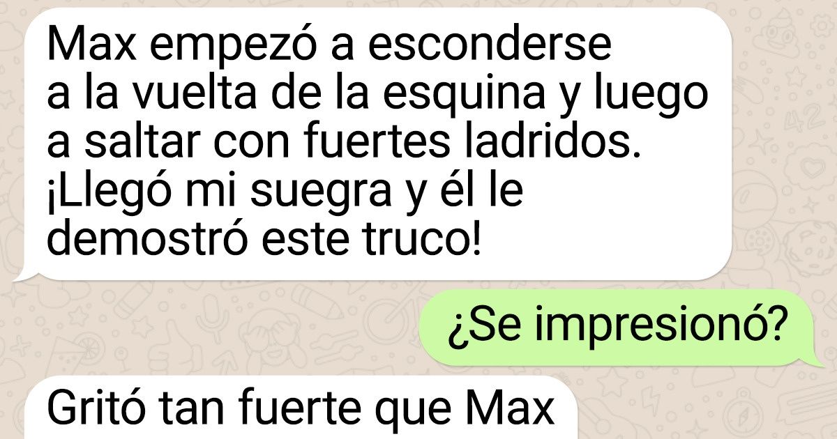 Una veterinaria mostró mensajes de sus clientes, cuyas tramas son más afiladas que una espada samurái Una veterinaria mostró mensajes de sus clientes, cuyas tramas son más afiladas que una espada samurái