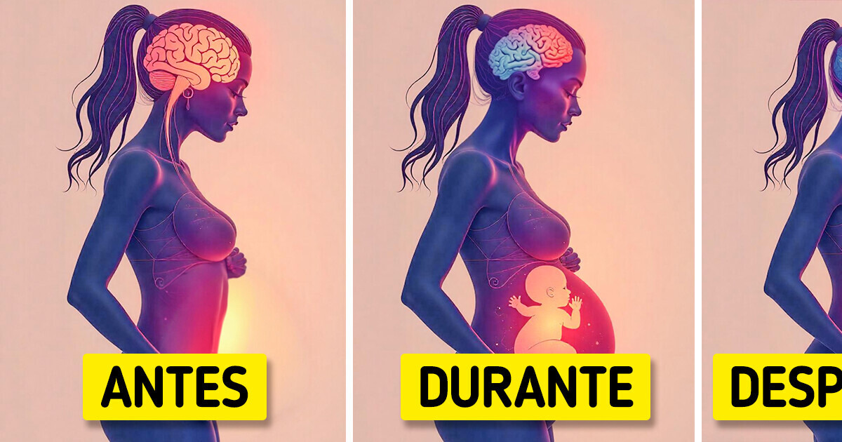 El embarazo deja cambios permanentes en el cerebro, según la ciencia El embarazo deja cambios permanentes en el cerebro, según la ciencia