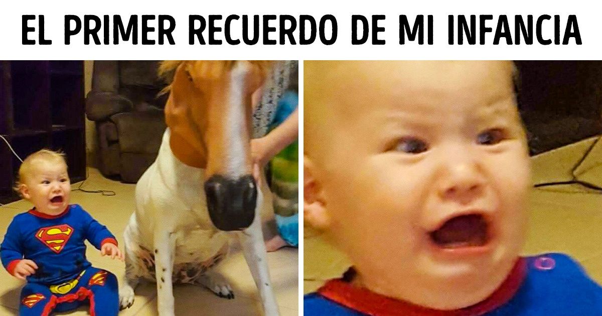 7 Mitos comunes sobre la memoria en los que muchos, equivocadamente, creen