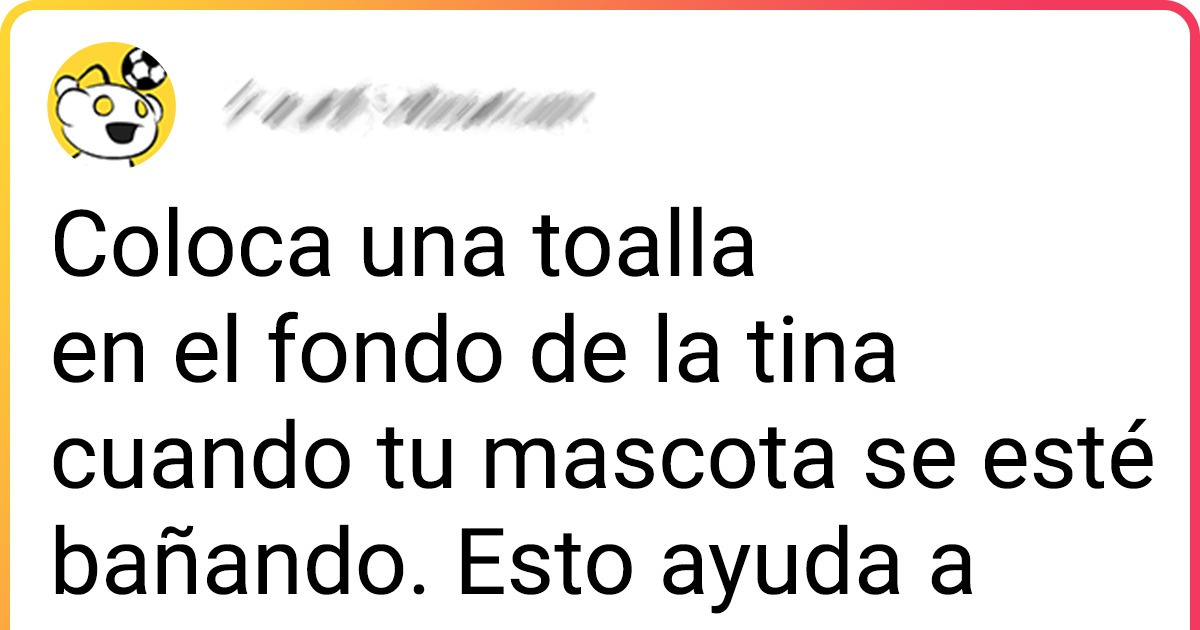 20 Consejos sobre el cuidado de los perros que usuarios han compartido para mejorar nuestra relación con estos pequeños peludos 20 Consejos sobre el cuidado de los perros que usuarios han compartido para mejorar nuestra relación con estos pequeños peludos