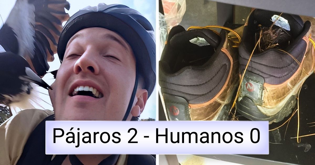 20 Fotografías que demuestran que la mala suerte es más común de lo que se cree 20 Fotografías que demuestran que la mala suerte es más común de lo que se cree