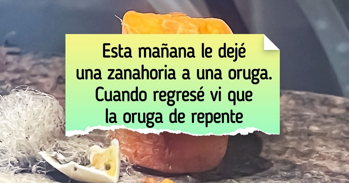 18 Personas que hicieron pequeños descubrimientos y dijeron “Ahora mi mundo no será el mismo”