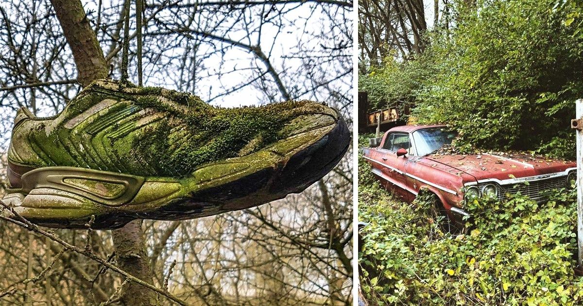 20 Pruebas gráficas de que a la naturaleza no hay nada que la detenga