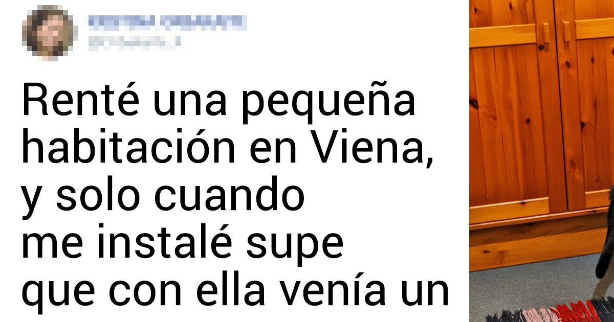 20+ Personas que rentaron una vivienda y no se encontraron con una sorpresa, sino con una sorpresota 20+ Personas que rentaron una vivienda y no se encontraron con una sorpresa, sino con una sorpresota