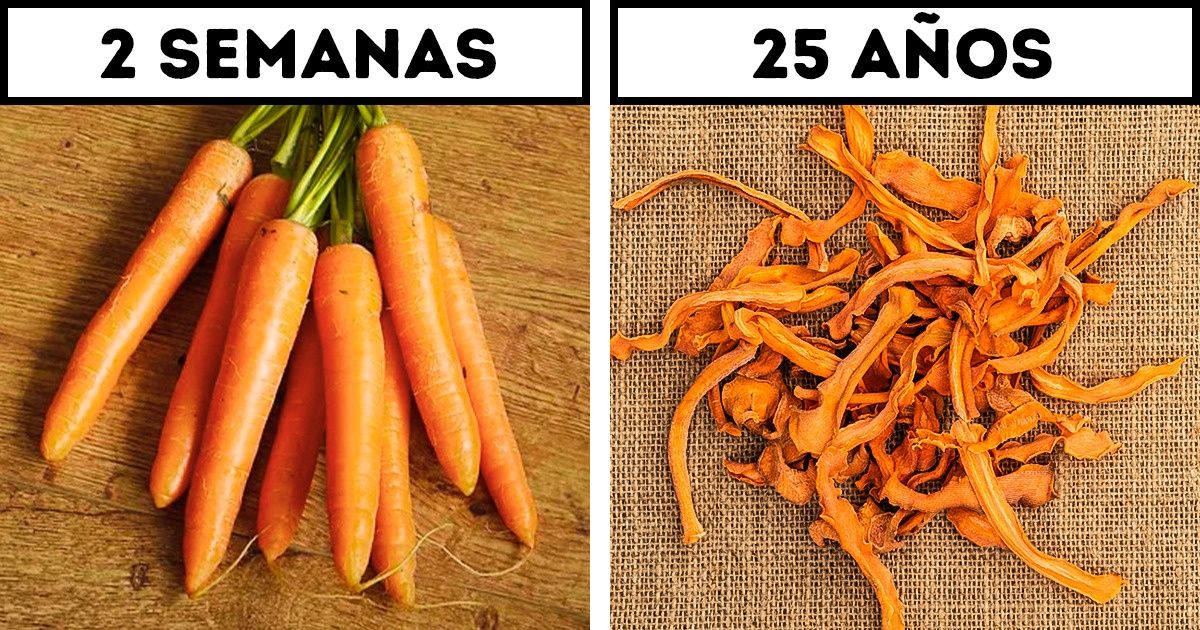 10+ Alimentos que pueden durar años si los almacenas de la manera correcta 10+ Alimentos que pueden durar años si los almacenas de la manera correcta