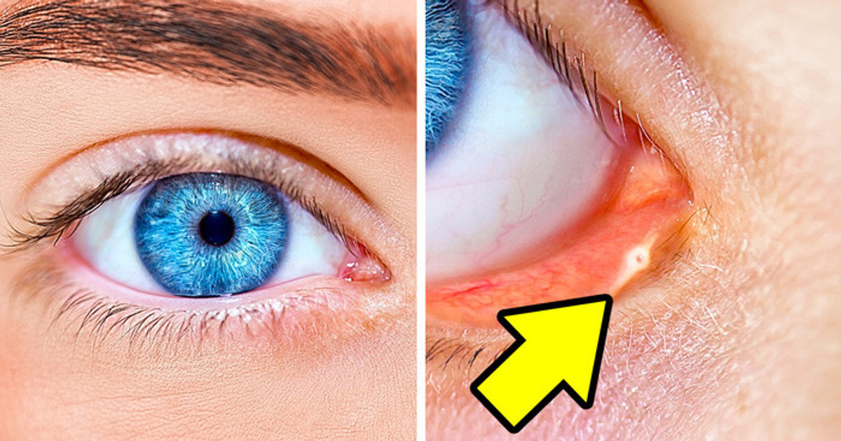 30+ Datos corporales geniales que no todos los maestros conocen 30+ Datos corporales geniales que no todos los maestros conocen