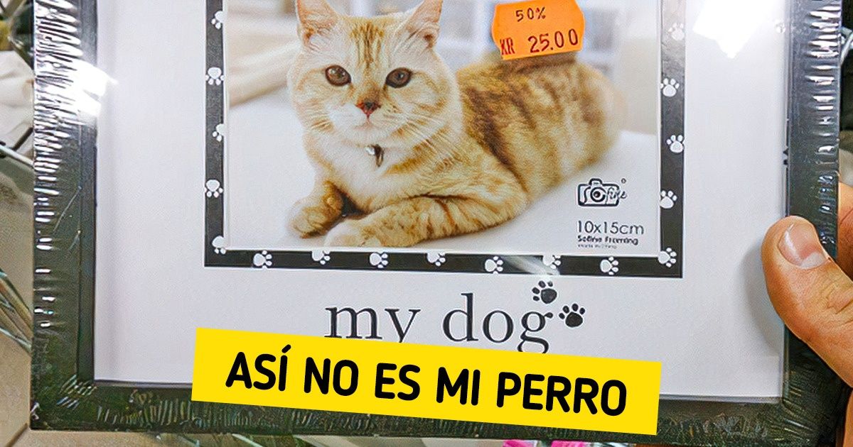 18 Graciosos hallazgos de supermercados que realmente sorprendieron a los clientes