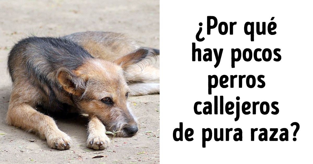 10 Principios de los ambientalistas que resultaron ser nada más que ficción