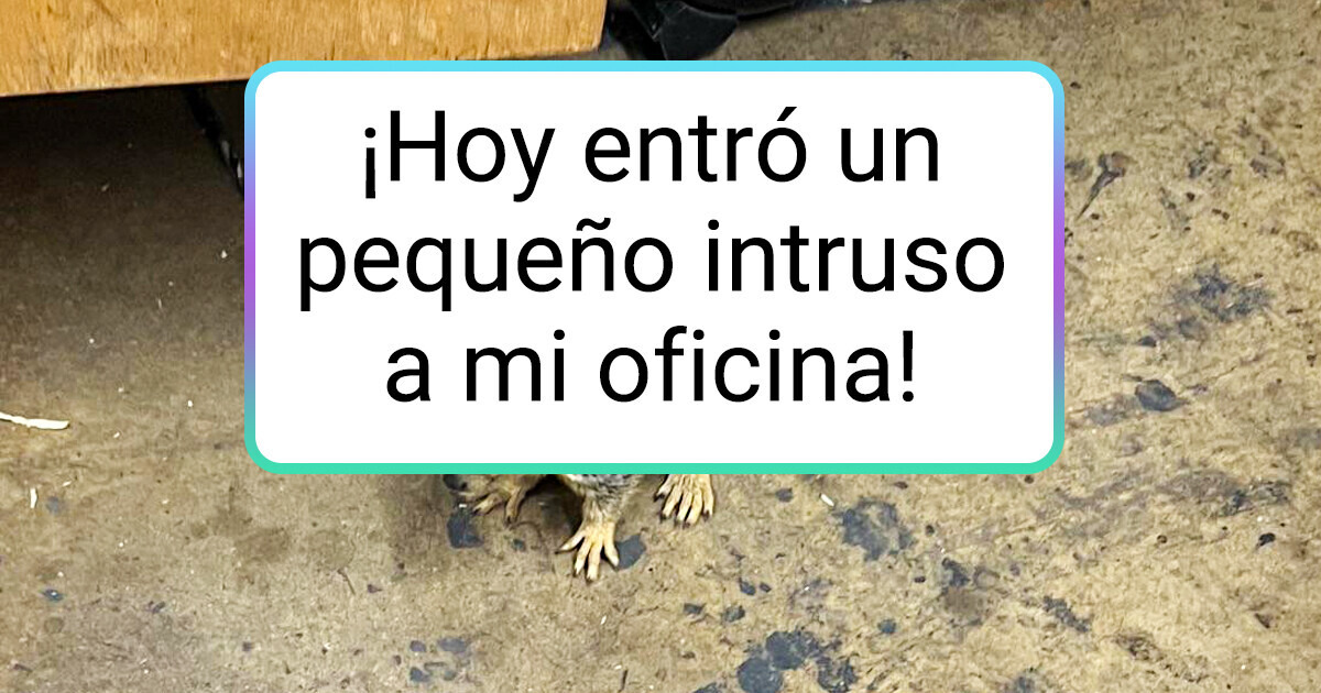 25 Personas muestran los pequeños detalles que hacen que sus trabajos sean especiales