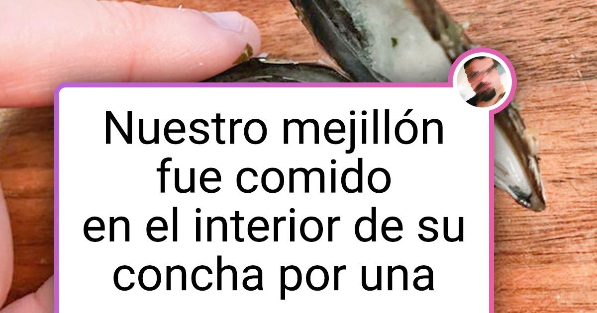 15 Personas que podrían tener su propio programa de animales en Discovery