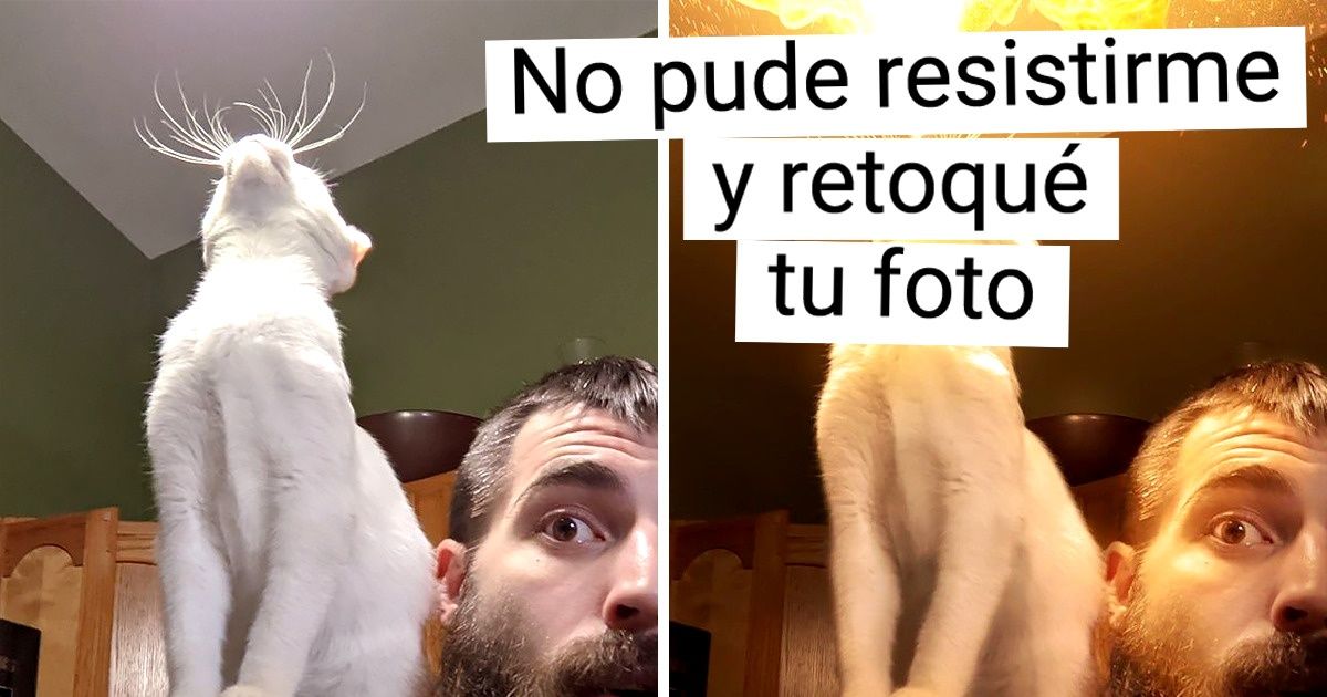 16 Fotos de los participantes del flashmob “Un gato en el hombro” (no todos tuvieron éxito en el entrenamiento)