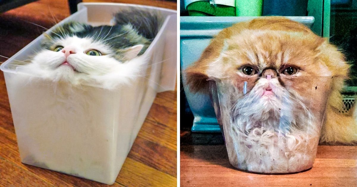 13 Hechos que demuestran que la vida es mucho más extraña de lo que solemos pensar 13 Hechos que demuestran que la vida es mucho más extraña de lo que solemos pensar
