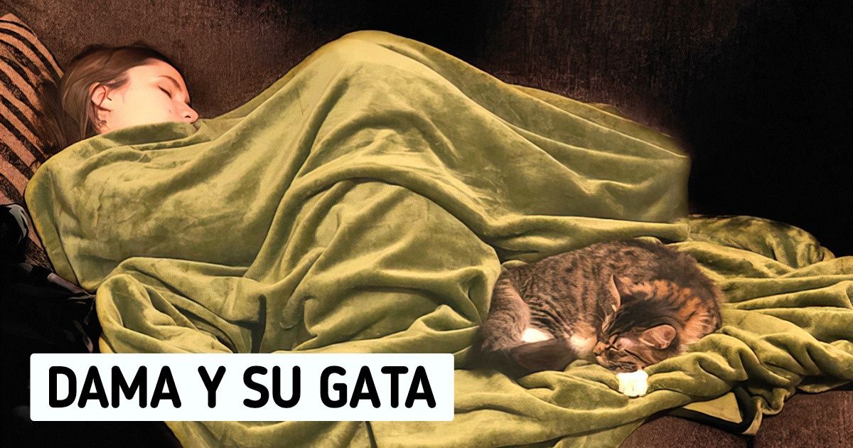 20+ Casos en que las personas simplemente querían tomar una foto, pero capturaron una obra maestra del Renacimiento 20+ Casos en que las personas simplemente querían tomar una foto, pero capturaron una obra maestra del Renacimiento