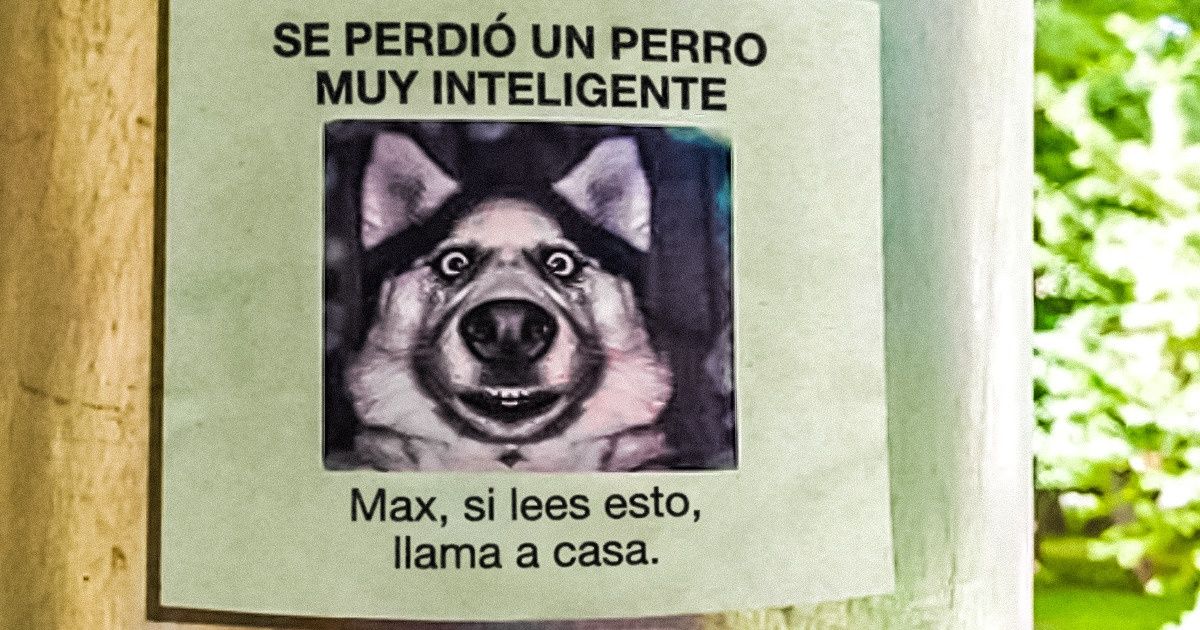 22 Fracasos que dan ganas de llorar (de la risa, por supuesto)