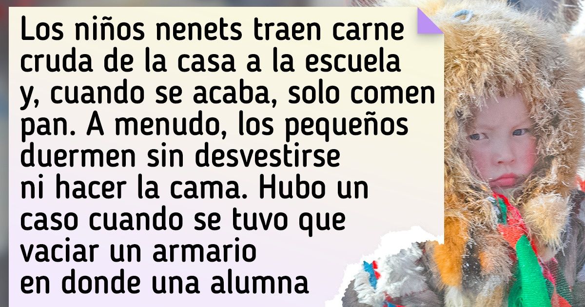20+ Hechos sobre los nenets, cuyos niños comen carne cruda y juegan con los picos de los pájaros 20+ Hechos sobre los nenets, cuyos niños comen carne cruda y juegan con los picos de los pájaros