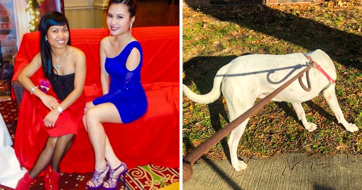 15+ Fotos extrañas que hacen que nos preguntemos qué está pasando allí (nueva selección)