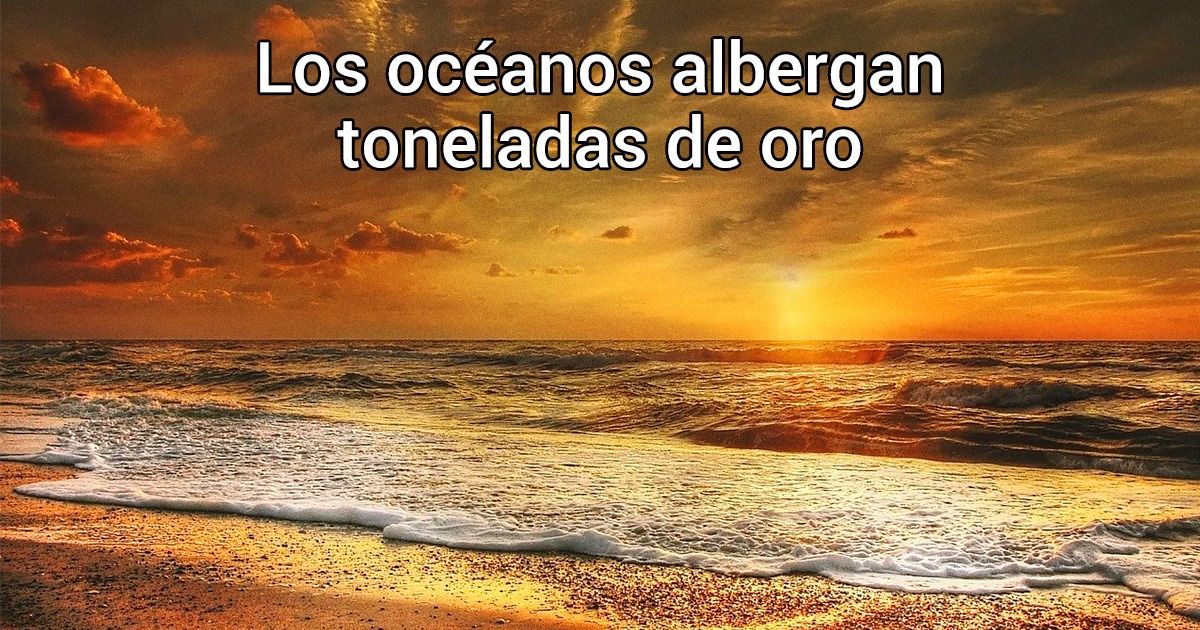 Conoce los asombrosos secretos que los océanos guardan en sus profundidades Conoce los asombrosos secretos que los océanos guardan en sus profundidades