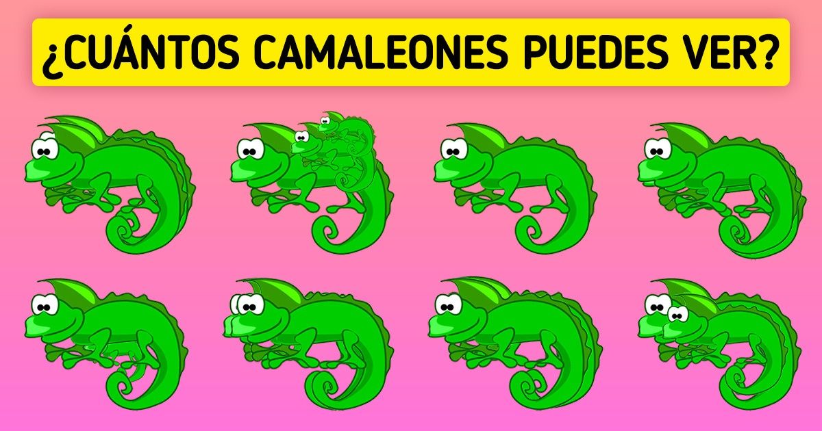 Test: Pon a prueba tu vista y dinos cuántos animalitos hay en cada imagen (ideal para jugar con los niños de la casa)
