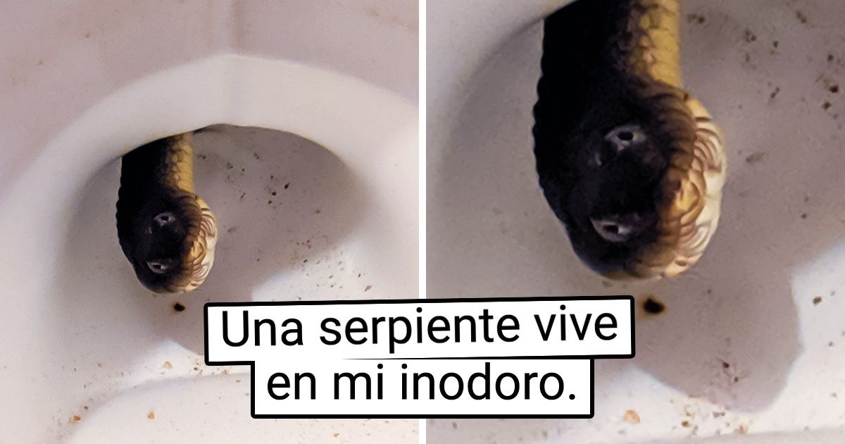 18 Fotos que nos hicieron ver el mundo desde un ángulo completamente nuevo