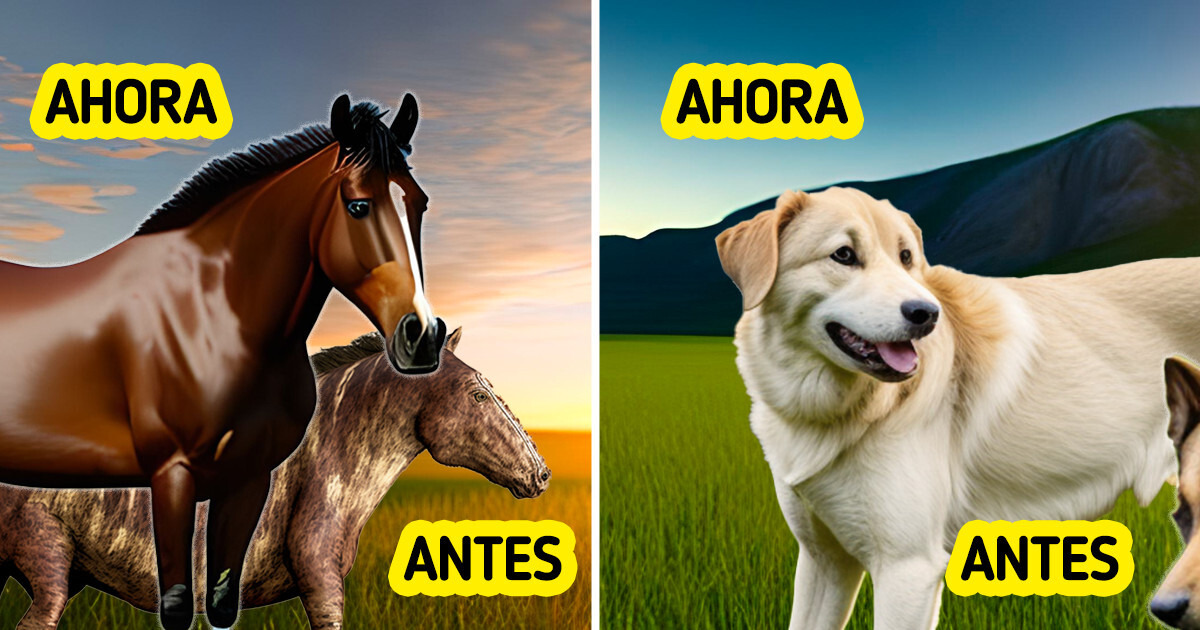 La tecnología nos ayudó a comparar a 10 animales con sus antepasados