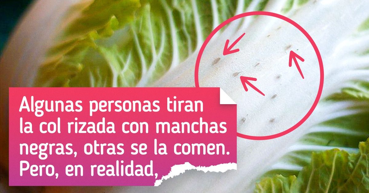 15 Personas hicieron descubrimientos que el propio Einstein envidiaría 15 Personas hicieron descubrimientos que el propio Einstein envidiaría