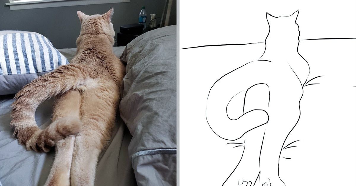 15 Usuarios de la red compartieron ilustraciones minimalistas de sus gatos, y estas poseen un alto contenido de ternura