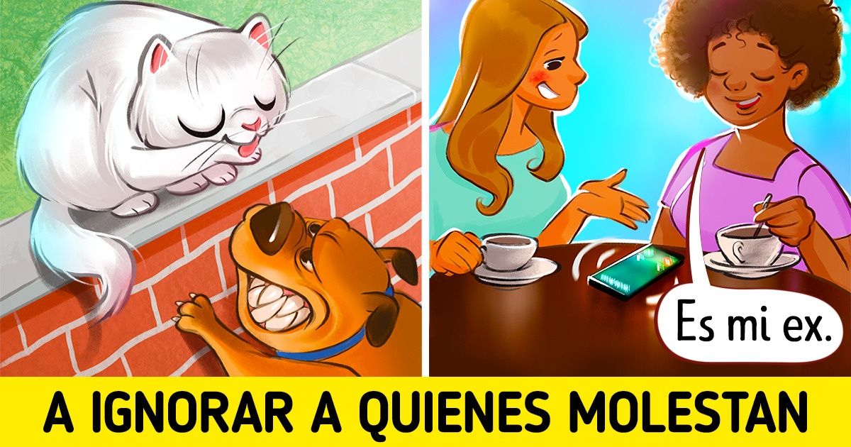 13 Cómics que ilustran las enseñanzas de vida que nos han dado nuestros gatos 13 Cómics que ilustran las enseñanzas de vida que nos han dado nuestros gatos