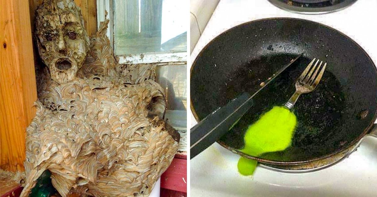 24 Personas que encontraron cosas inexplicables donde menos lo esperaban