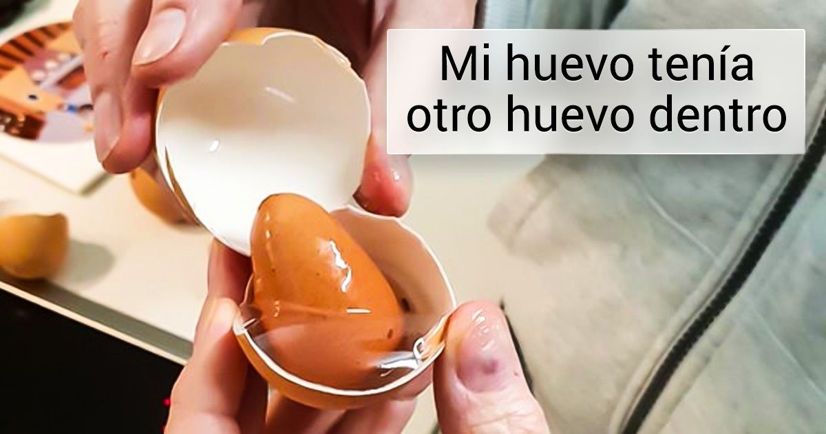 20 Personas que encontraron cosas insospechadas dentro de otros objetos