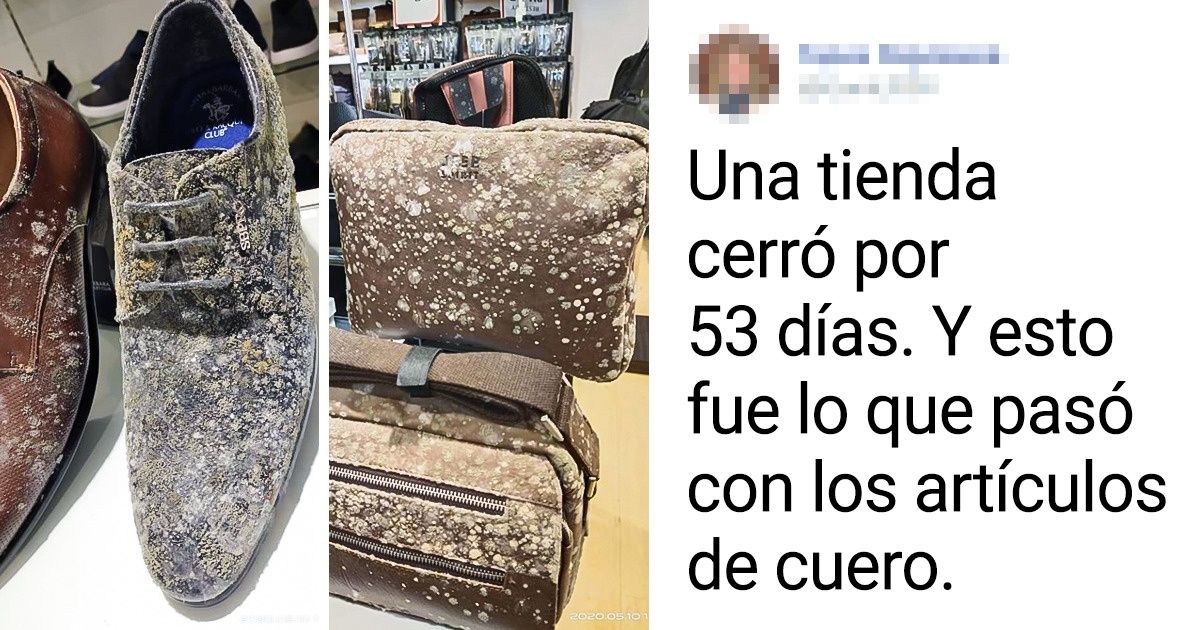 19 Respuestas evidentes a la pregunta “Qué pasaría si...” 19 Respuestas evidentes a la pregunta “Qué pasaría si...”