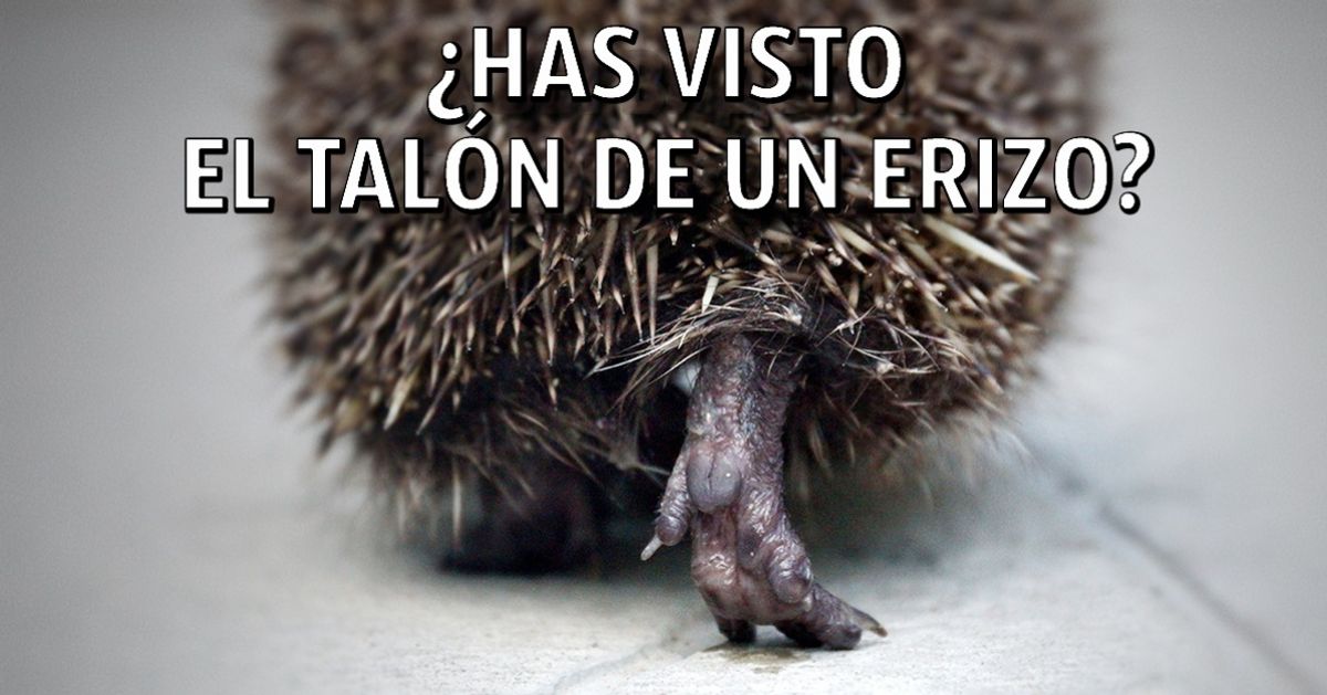 15 Fotografías de la naturaleza que demuestran cuánta belleza hay por explorar