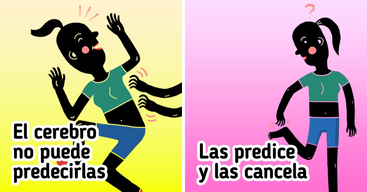 20 Llamativos datos sobre el cerebro (el de Einstein era 10 % más chico de lo normal)