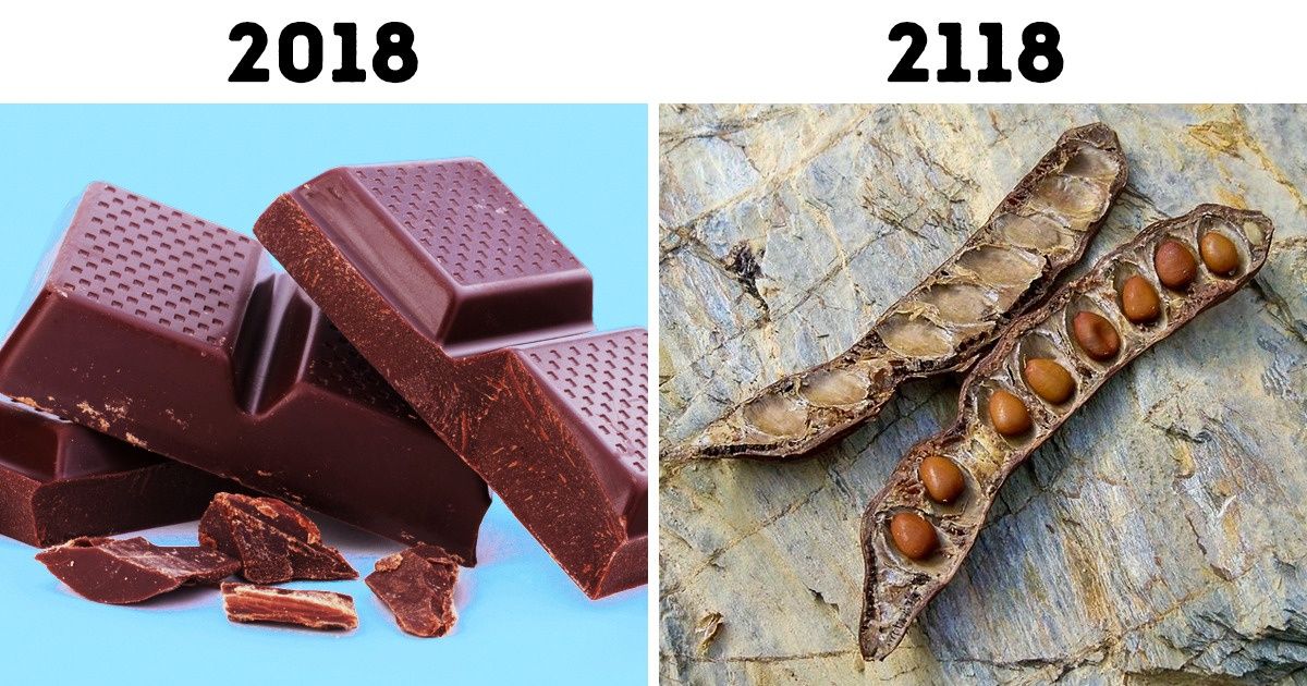 10 Cosas populares que desaparecerán de nuestra vida en unos 100 años 10 Cosas populares que desaparecerán de nuestra vida en unos 100 años