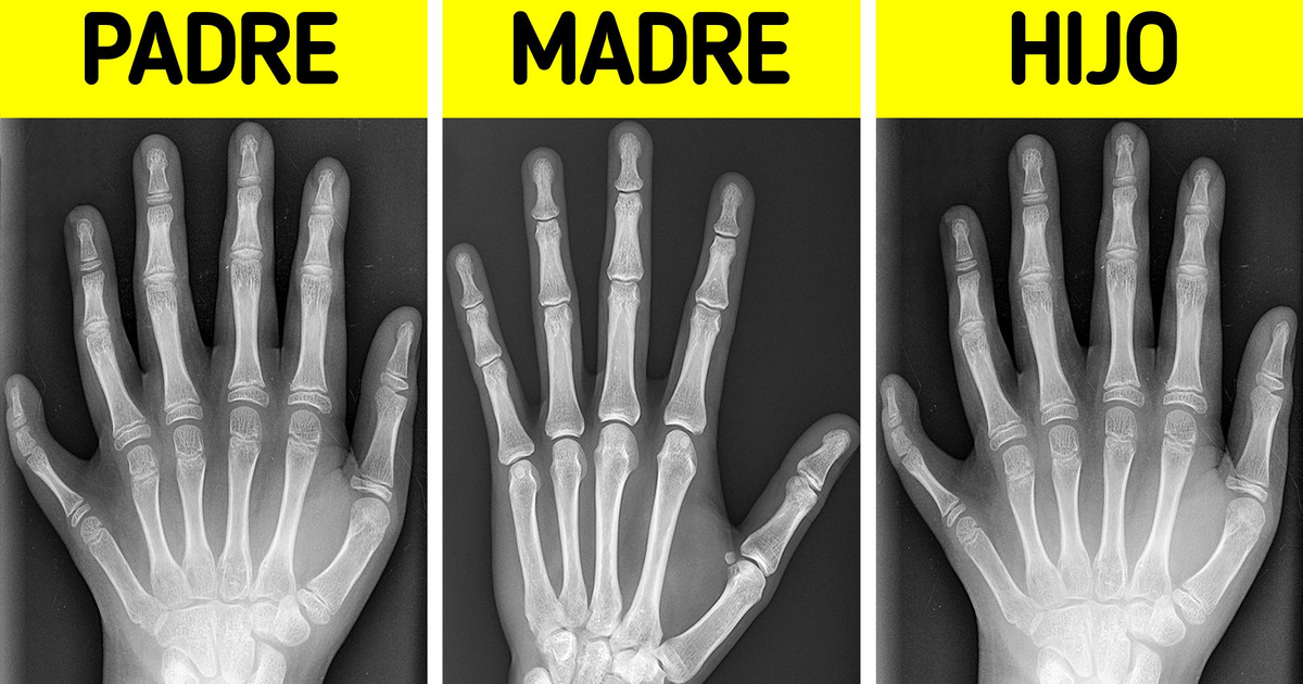 15 Hechos aleatorios que realmente nos dejaron estupefactos