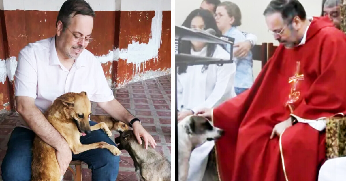 Sacerdote brasileño rescata perros para darlos en adopción cada domingo Sacerdote brasileño rescata perros para darlos en adopción cada domingo