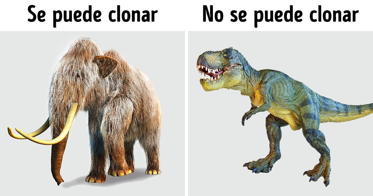 5 Datos interesantes sobre el ADN que revelan lo sabia que es la naturaleza