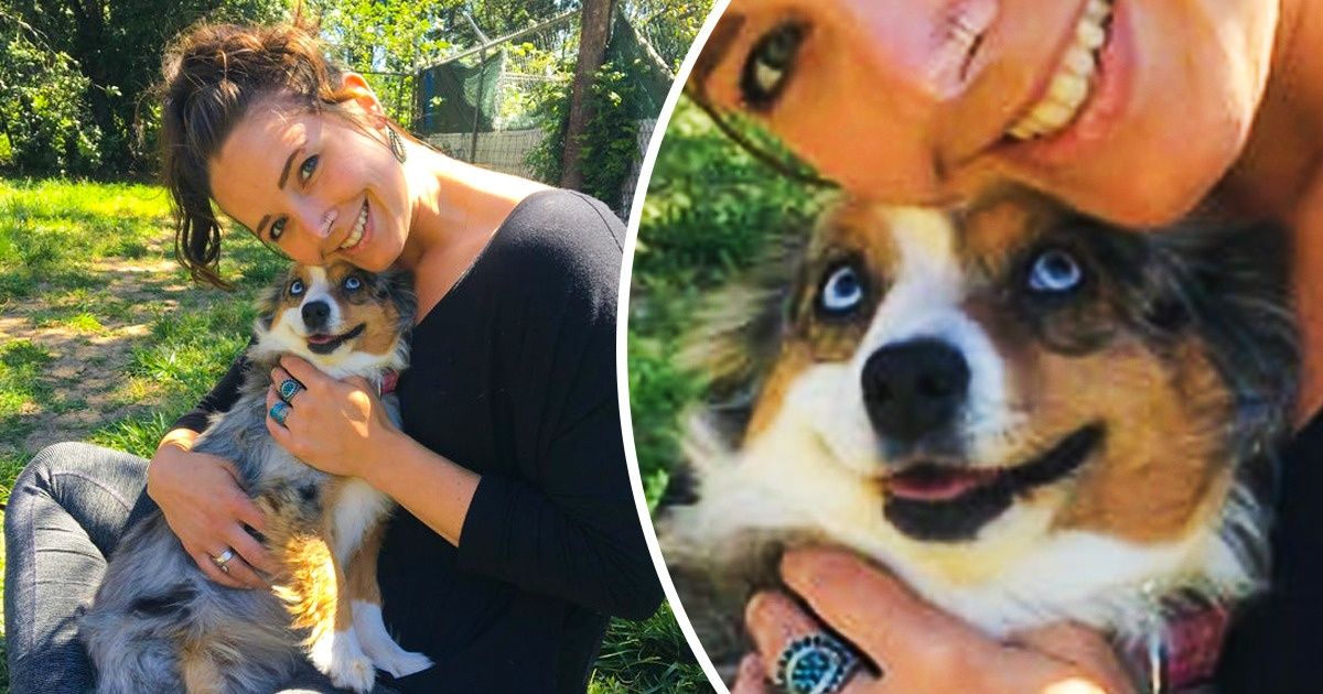 20+ Mascotas que demuestran el amor por su humano con una simple mirada 20+ Mascotas que demuestran el amor por su humano con una simple mirada