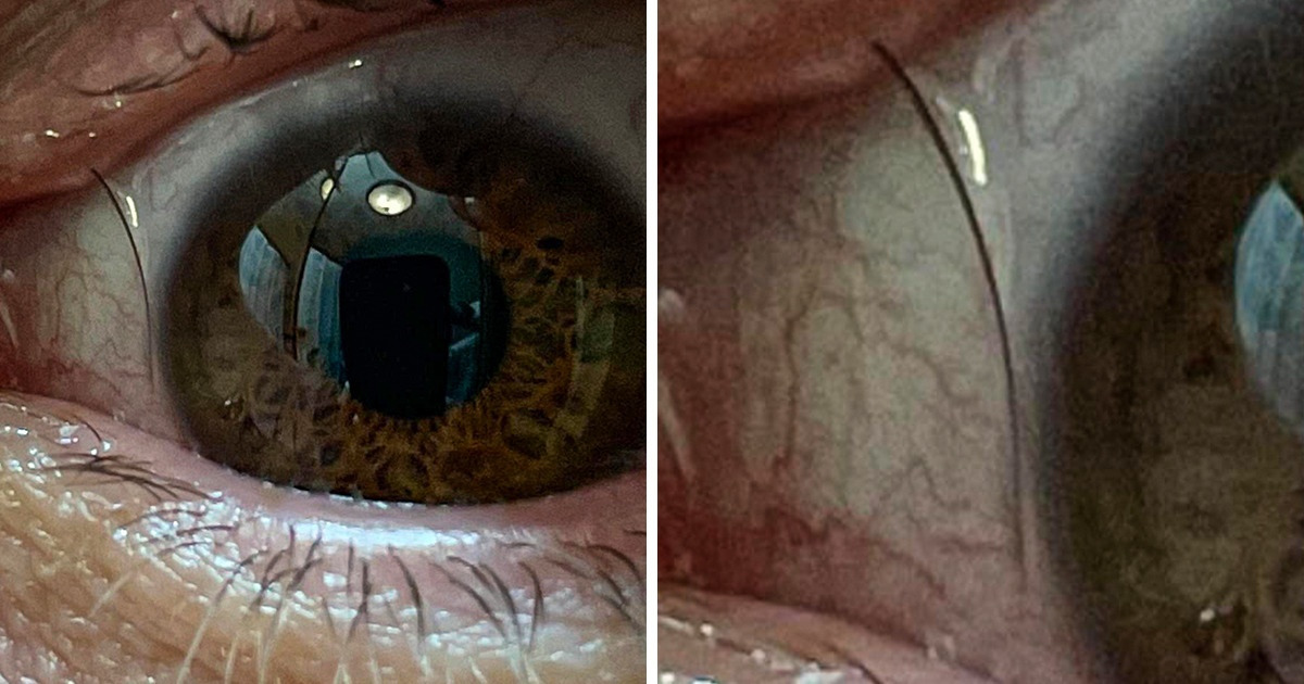 15 Personas que hicieron un descubrimiento extraordinario sobre sí mismas