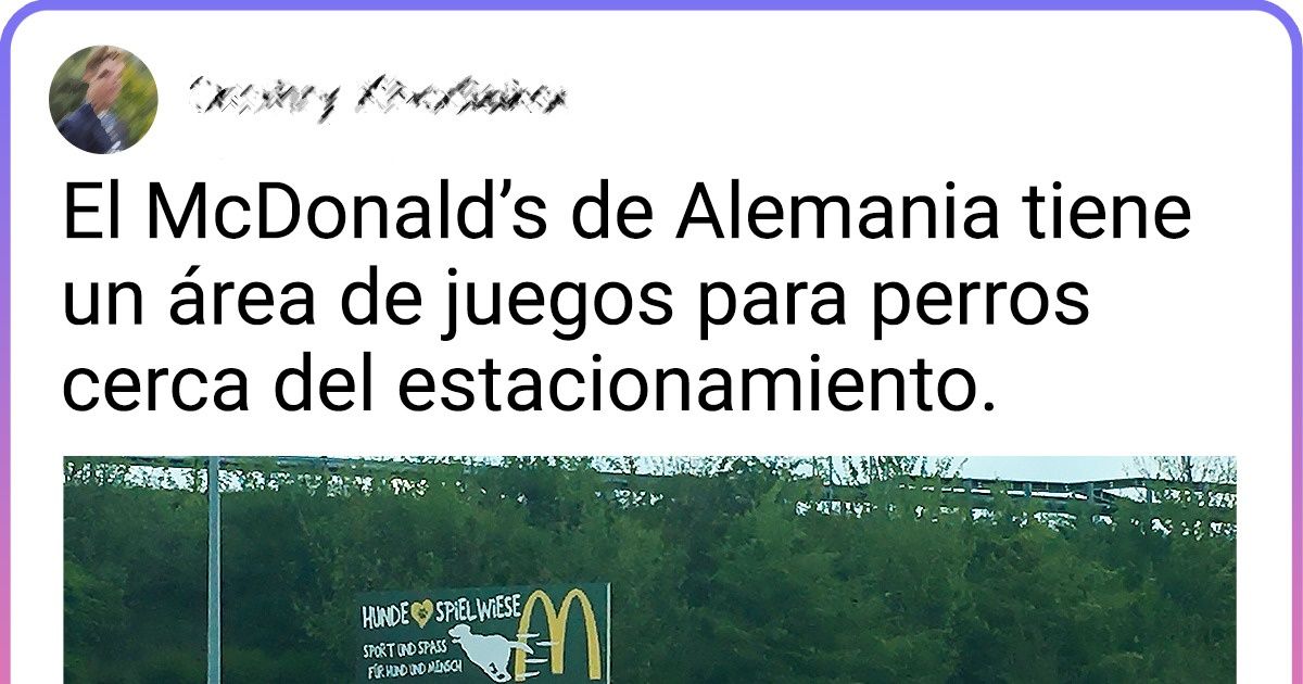 20 Cosas que son normales para los alemanes, pero pueden dejar boquiabierto a cualquier turista 20 Cosas que son normales para los alemanes, pero pueden dejar boquiabierto a cualquier turista