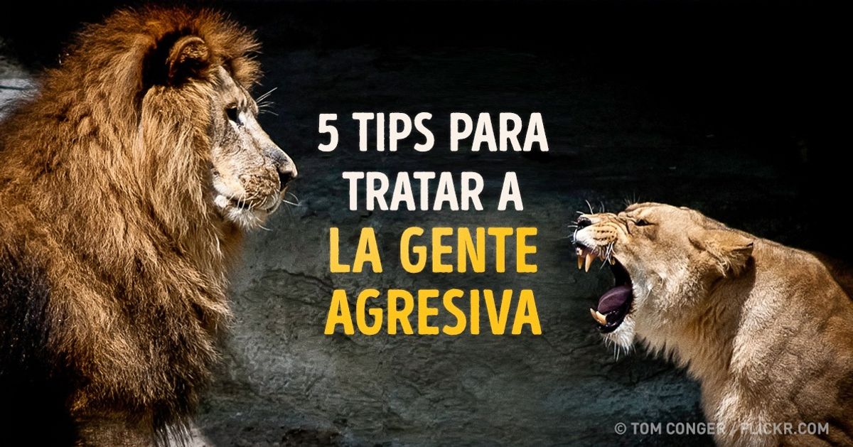 5 Tips para tratar la agresividad en las personas
