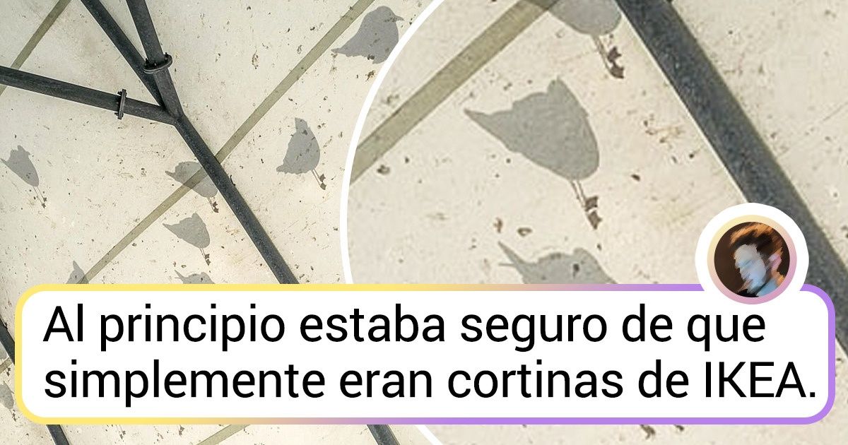 18 Fotos que te darán ganas de preguntar: “¿Qué está pasando aquí?” 18 Fotos que te darán ganas de preguntar: “¿Qué está pasando aquí?”