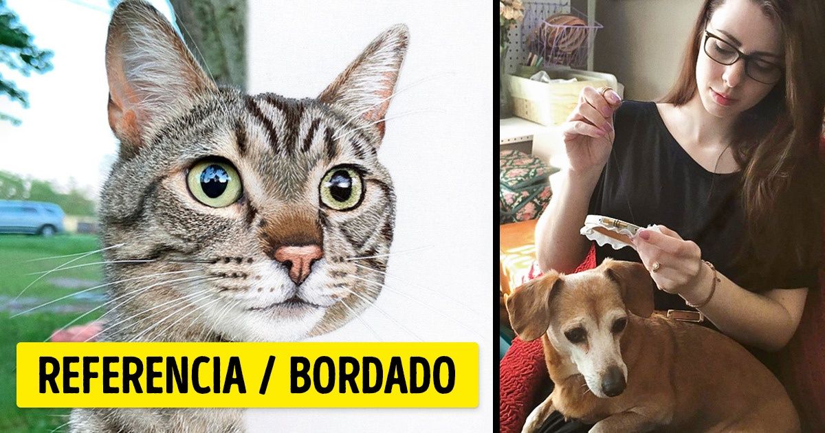 Artista borda retratos de mascotas tan reales que es difícil distinguirlos de las fotos