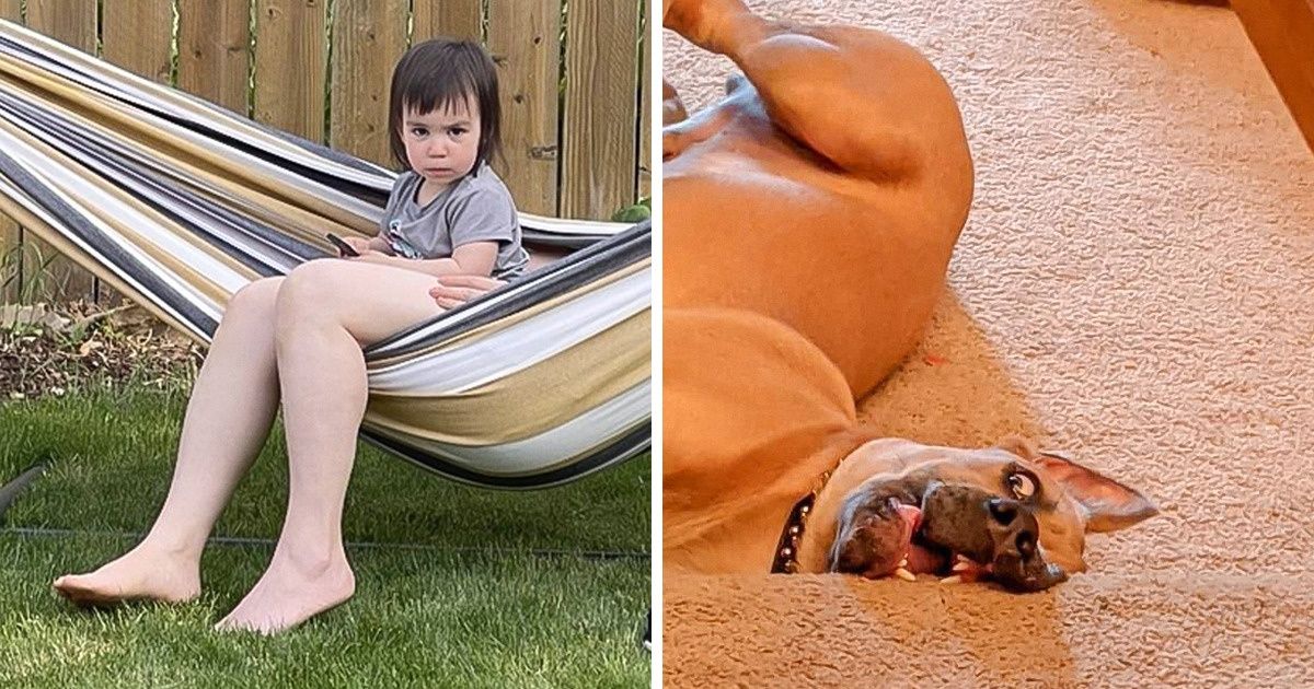 14 Fotos con ángulos únicos que pueden confundirte