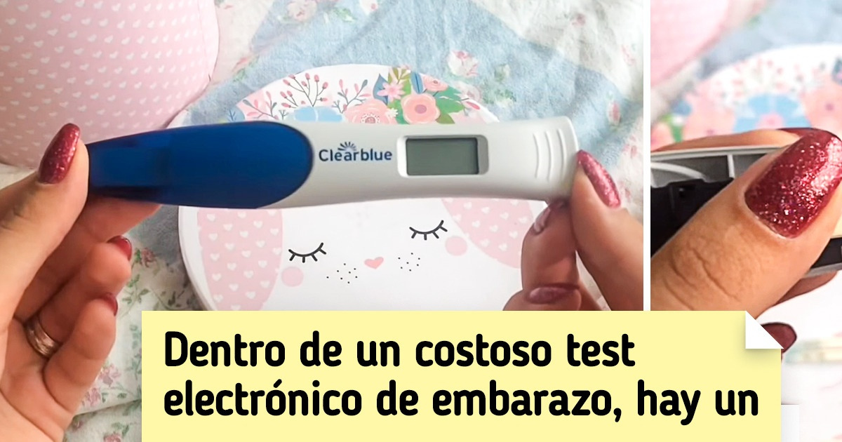 17 Fotos que muestran cómo se ven en su interior las cosas que todos conocemos