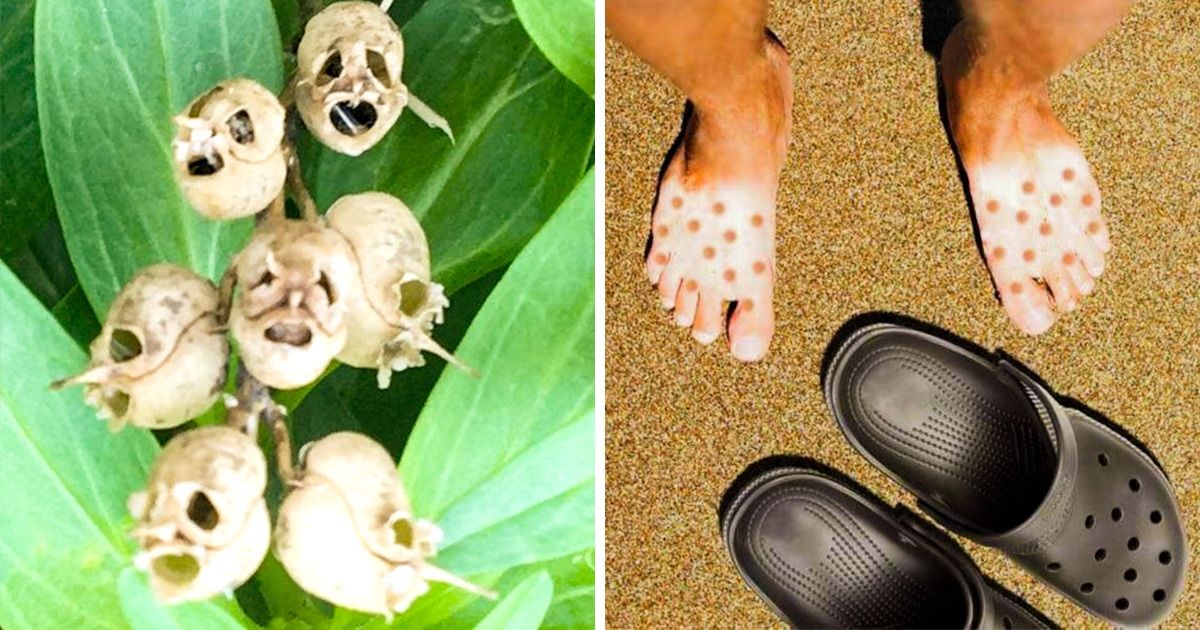 20 Personas afortunadas que milagrosamente encontraron cosas con una posibilidad de 1 en un millón de ser halladas