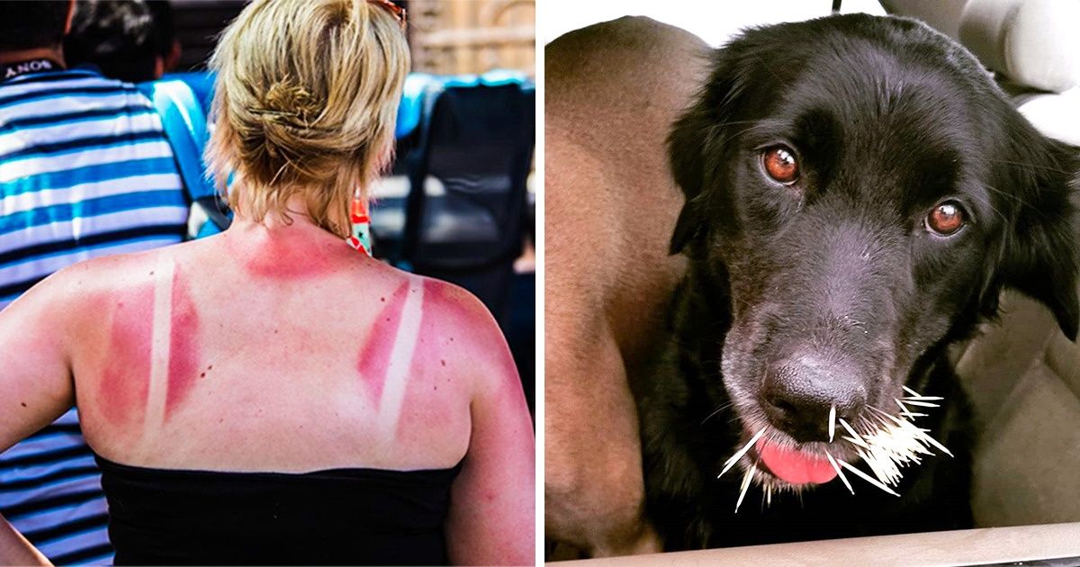 21 Fotos que encierran todo el dolor de la humanidad en ellas. (Advertencia: es posible que necesites pañuelos para verlas)