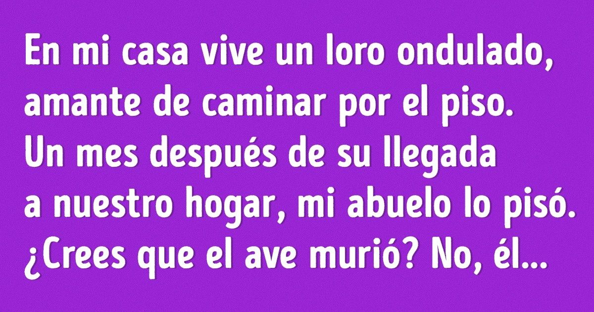 12 Historias sobre mascotas que nunca dejarán que te aburras 12 Historias sobre mascotas que nunca dejarán que te aburras